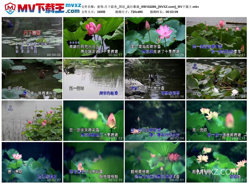 夜莺-月下荷香_国语_流行歌曲_MB102266